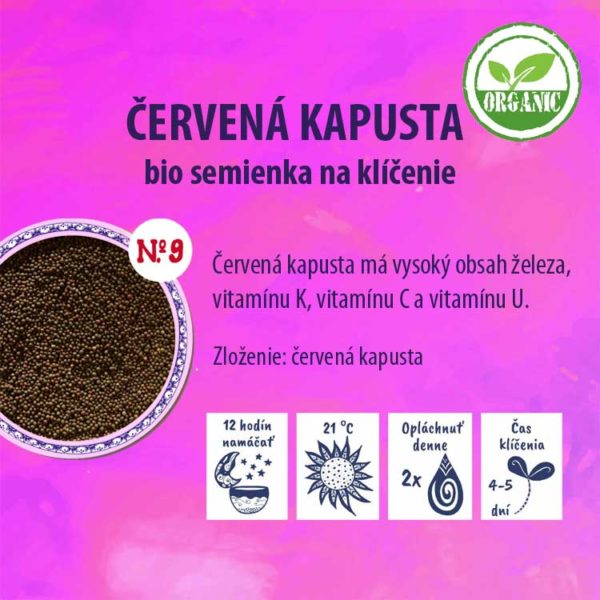 Červená kapusta bio semienka na klíčenie